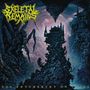 Skeletal Remains: The Entombment Of Chaos, CD