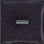 The Wedding Present: Seamonsters (Deluxe Edition), CD,CD