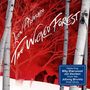 "Leon Alvarado, The Wicked Forest. Featuring Billy Sherwood, Jon Davison (Yes), Johnny Bruhns (Circa). Silhouetten von zwei Bären, rote Bäume, Birkenstämme."