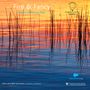 : Sibelius Piano Trio - Fire & Fancy (180g / 45rpm), LP