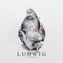 Stimming: Ludwig, LP,LP