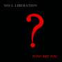 Soul Liberation: Who Are You?, LP,LP