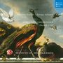 Alessandro Scarlatti: Sinfonie,Concerti,Arie, CD