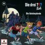 Ulf Blanck: Die drei ??? Kids 98: Die Geisterpferde, CD