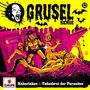 : Gruselserie Folge 13: Kakerlaken / Todesbrut der Parasiten, CD