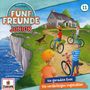 : Fünf Freunde JUNIOR (Folge 11) Die geraubte Rose / Die verdächtigen Vogel, CD