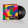 Giorgio Poi: Schegge, LP