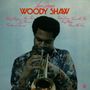 Texte: "Love Dance," "Woody Shaw," Musiker spielt Trompete, trägt ein bunt gemustertes Hemd.