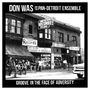 Don Was: Groove In The Face Of Adversity, LP