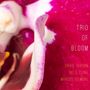 Trio of Bloom: Trio of Bloom, CD