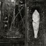 "WOLVES in the THRONE ROOM" und "ESTUARY" in einer mystischen Szenerie: links ein Waldweg, rechts ein verhüllter Körper.