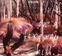 Ectogram: Fluff On A Faraway Hill, CD