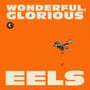 Eels: Wonderful, Glorious (Deluxe Edition), CD