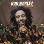 Chineke! Orchestra: Bob Marley & The Chineke! Orchestra (Limited Deluxe Edition), CD,CD