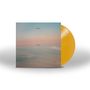 Warpaint: Radiate Like This (Limited Edition), LP