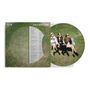 Haim: Days Are Gone (10th Anniversary) (Limited Edition) (Picture Disc), LP