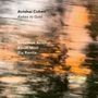 Avishai Cohen (Trumpet): Ashes To Gold, CD