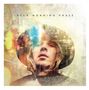 "BECK MORNING PHASE" steht oben. Porträt eines Menschen mit langem Haar und Hut, umgeben von sanften, bunten Lichteffekten.