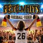"Fetenhits", "Fussball-Fieber", Person in Deutschland-Trikot, hebt Schal, Stadion voll jubelnder Menschen.