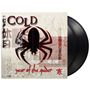 "Cold", "year of the spider". Illustration: Schwarze Spinne auf gezeichnetem Hintergrund, asiatische Schriftzeichen.