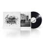 PJ Harvey: Let England Shake (180g) (Limited Edition), LP