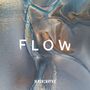 : Flow, LP
