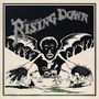 The Roots : Rising Down, LP