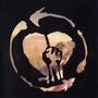 Rise Against: Endgame (180g) (Limited Edition) (Clear Vinyl), LP