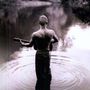 Sting: Best Of 25 Years, LP,LP