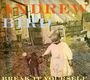 Andrew Bird: Break It Yourself, CD