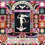 The Decemberists: What A Terrible World, What A Beautiful World (180g), LP,LP