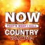Now That's What I Call Country Vol.12, CD