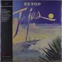 ZZ Top, Tejas. Landschaft im Mondlicht mit Wüste, Hügeln, einem Stier und Pflanzen.