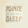Ben Lee: Awake Is The New Sleep (10th Anniversary Edition) (180g) (Limited Edition), LP,LP