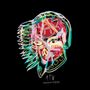 All Them Witches: Nothing As The Ideal (Limited Edition) (Colored Vinyl), LP