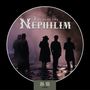 Fields Of The Nephilim: 5 Albums Box Set, CD,CD,CD,CD,CD
