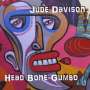 Jude Davison: Head Bone Gumbo, CD