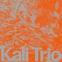 Kali Trio: The Playful Abstract, CD