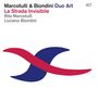 Rita Marcotulli & Luciano Biondini: La Strada Invisibile, CD