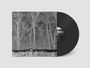 Pile: Sunshine and Balance Beams, LP