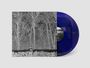 Pile: Sunshine and Balance Beams (Transparent Colored Vinyl), LP