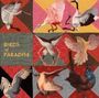 Thomas Dollbaum: Birds Of Paradise, LP