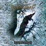Borknagar: The Olden Domain (Red Vinyl), LP