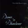 Dawn 'N Blueclover: Celtic Blues Project, CD