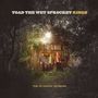 „TOAD THE WET SPROCKET RINGS“ und „THE ACOUSTIC SESSIONS“. Drei Personen stehen vor einer beleuchteten Hütte im Wald.