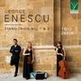 "GEORGE ENESCU PIANO TRIOS Nos. 1 & 2 TRIO ZEFÍR" steht auf einer Steinwand. Drei Musiker, zwei Frauen und ein Mann, mit Instrumenten.