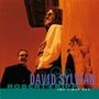 David Sylvian & Robert Fripp: The First Day, CD