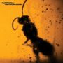 Oben links steht „SLEEPWALK view from the outside“. Silhouette eines Insekts vor einem orangefarbenen Hintergrund.