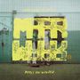 Mary Anne's Polar Rig: Makes You Wonder (Limited Edition) (Blue/Yellow Marbled Vinyl), LP,LP