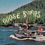 Boyscott: Goose Bumps, LP